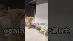 ������ߤ����ˡ֤���äȤ������ȿȡץܥ����Ϣ�ǡ��ȥ���ー�ɥ�����꤬�������������