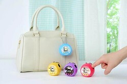 �ϥ������ƥ�������ľ�ܿ��äƤ��뤫�Τ褦�ʴ��ФǤ�����