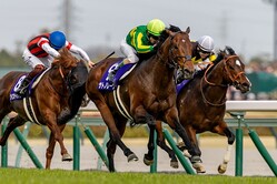 �⾾�ܵ�ǰ�����ȥΥ졼����C.��᡼�뵳��