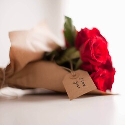���ä�������ɥ��ɥ���������������Ļɷ�Ū��LINE�ף��ѥ�����