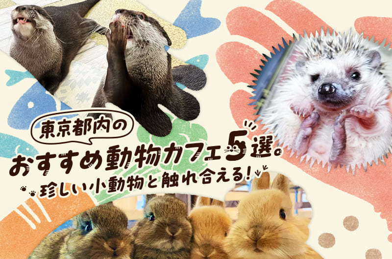 東京都内のおすすめ動物カフェ5選。珍しい小動物と触れ合える!