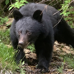  ĥΥ說゙ޢϥ᡼゙゙ʼ̿̿ 