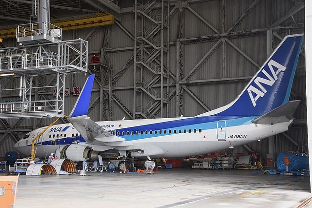 まだまだ飛べるのに」 最後のトリトン737-700「JA06AN」、惜しまれ