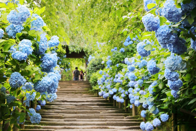 今日の運勢 21年6月1日 火 12星座占いランキング第1位は魚座 うお座 あなたの星座は何位 ライブドアニュース