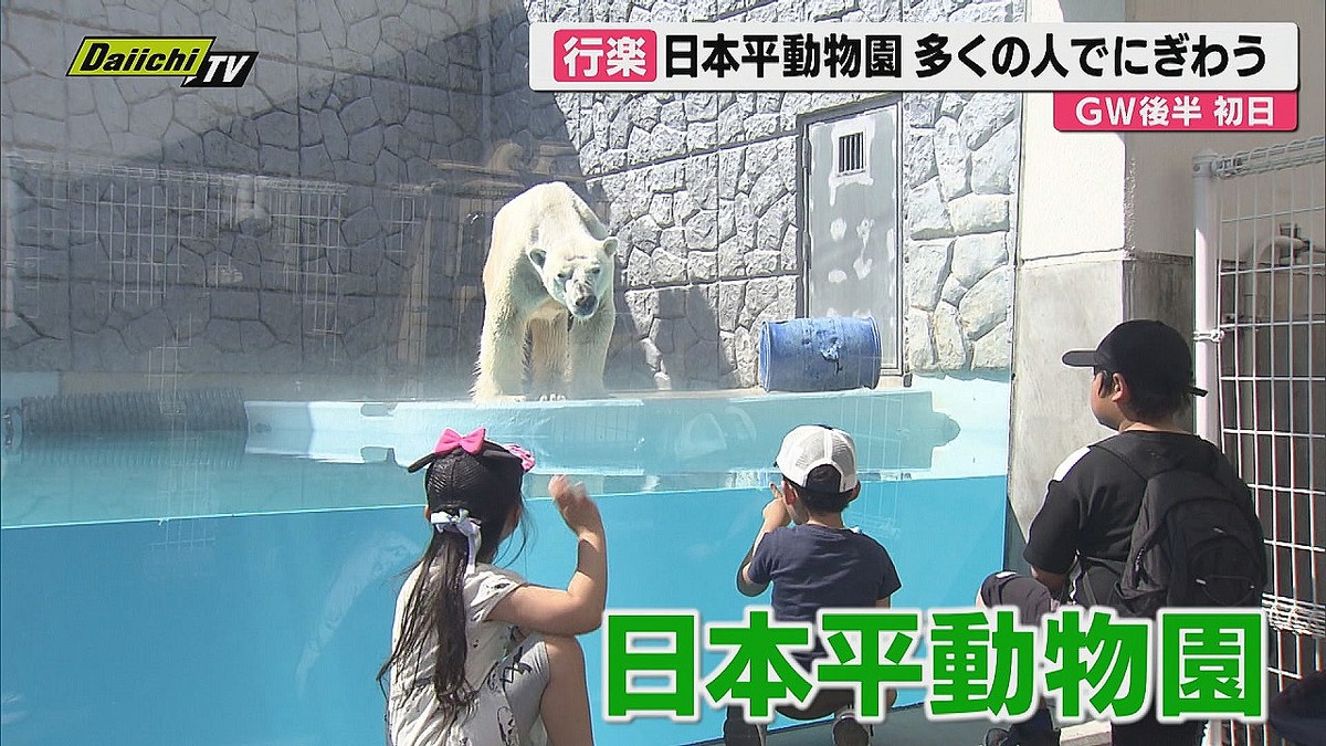 Daiichi-TV(�Ų����ƥ��)