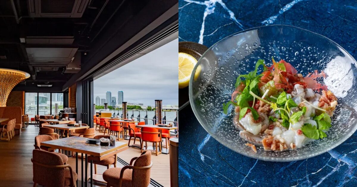 ڿۥƥ饹ʤʥڥåOKーーɤڤॹڥDel Mar COMEDOR Y TERRAZAפͥϥーإåɤ˥˥ーーץ