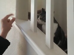�����礵��μ�˷㤷�����⤹��ǭ��