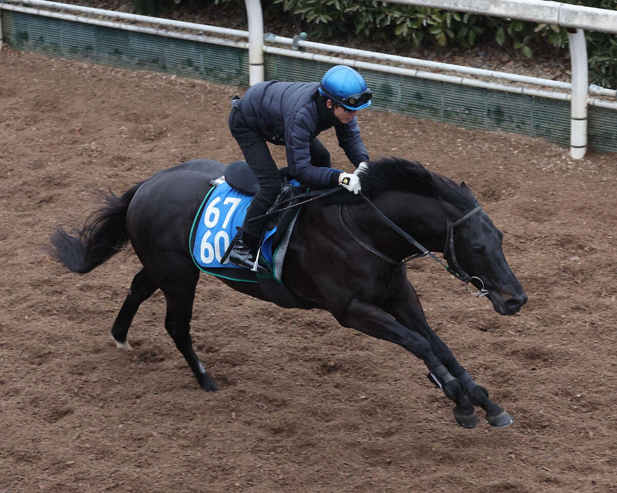 シルクロードS】幸2カ月ぶり復帰! オタルエバー調教騎乗で坂路4F51秒3の好時計「問題なかった」 - ライブドアニュース