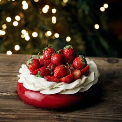 �ѡ��� �ϥ����å� ����Υ��ꥹ�ޥ�������2023�����ޤ������������̤�֥å���ɥΥ���䥷�硼�ȥ�������