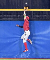 �䥯�����ǥ����ʤ��ǵ�����ӤĤ��ե��󥹤˷��ͤ���ʿ��ᣳ�����