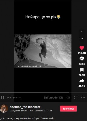 真夜中や明け方に飼い猫がちょくちょく寝室にやって来ることに気が付いた女性。ある日、カメラを設置したところ、想像を超える愛猫の“悪魔っぷり”が映し出されていた(画像は『Шелдон і Шурік - кіт і шиншила 2023年7月23日付TikTok』のスクリーンショット)