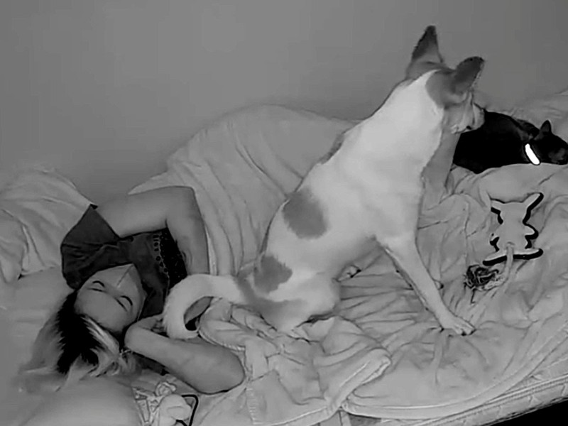 元保護犬と寝てみたら...ペットカメラに映った「夜の一幕」に反響