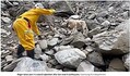 Ͽ̤Ѥľ塢㪤Ѥ߽ŤʤäʸΩꡢϥɥ顼ȤȤ˵߽ưԤҳ߽Υ㡼ʡCNNRoger, overly playful dog who failed police academy, becomes star of Taiwan quake responseסKaohsiung Fire Departmentˡ٤