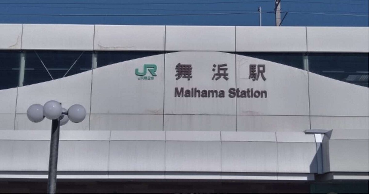TDLの列でシンデレラ城を撮影「若い女性からの一言」に感動
