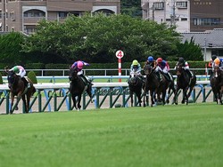 �ԥ�ー���ޥ��å����������̶彣��ǰ��ľ��(c)netkeiba