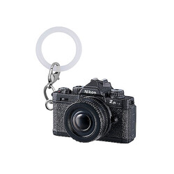 Nikon �ᤸ�뤷���������꡼