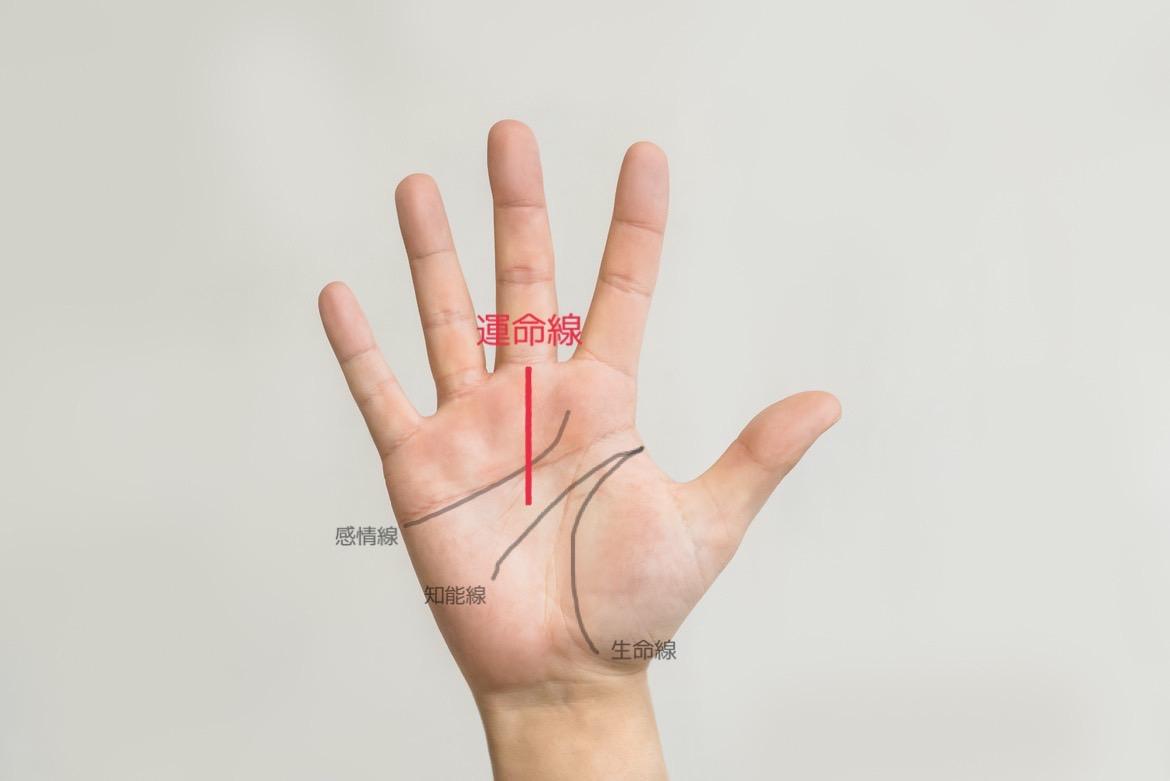 手相占い】歳を重ねるほど伸びしろMAX！人生後半で成功・成長する人の