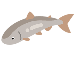 ���Ǥ�����פ�����!? ���˥ޥ���ȯ��������΢�Ȥϡ���̲��ʤ��ʤ�ۤ����� �޲� �����á�