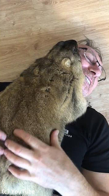 マーモットってこんな懐くの?可愛すぎ…01