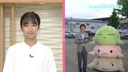 �ƥ�Ӷ���NEWS