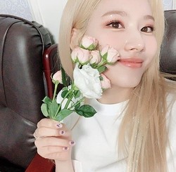 TWICE ���ʡ����С����ե���˰����������ֻ�Τ��Фˤ��Ƥ���ơĤȤƤ⹬����