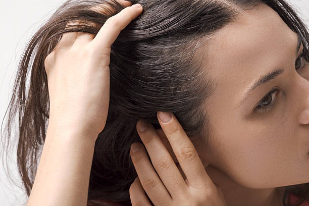 ȱǺߤľ뤹ӤȴӤ礭ʸ