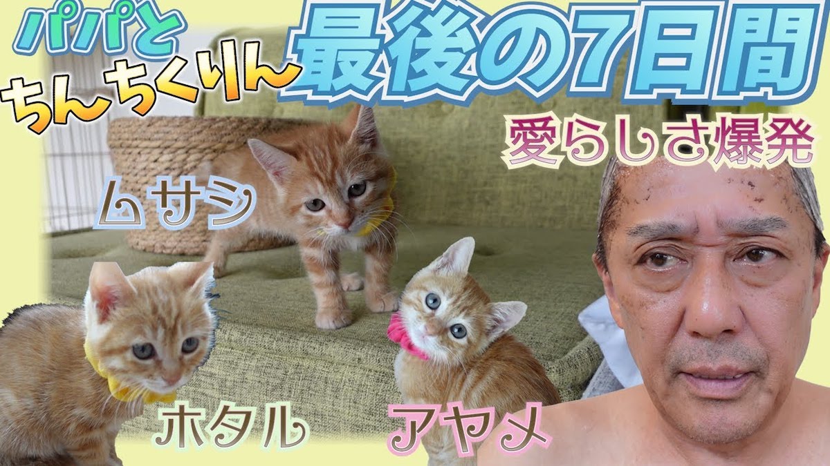 ư�襵��ͥ�����