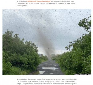 ����緲�����Ф��������ʲ����ϡ�Radio Free Europe��2021ǯ7��20���ա�Mosquito ��Tornadoes�� Storm Russia��s Far East�ס�Siberian Times��Courtesy Image�ˡˡ٤Υ����꡼�󥷥�åȡ�