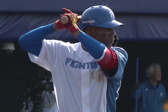 �����˽о줷�����ܥϥࡦ���ɥݥ�������ڲ������ѡ����� �ѡ��꡼��TV��