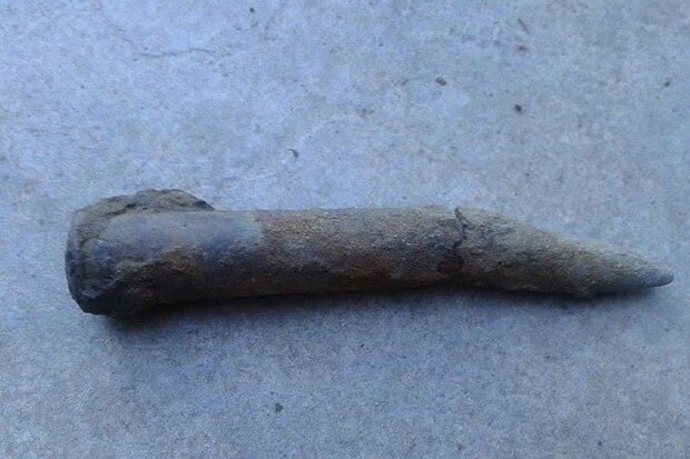 一体ナゼ…20代男性の直腸から第一次世界大戦の砲弾を発見 フランス