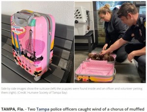 スーツケースの中から子犬を発見した警察官(画像は『FOX 35 Orlando 2022年10月20日付「Puppies rescued after being abandoned inside closed suitcase at Tampa vacation rental」(Credit: Humane Society of Tampa Bay)』のスクリーンショット)