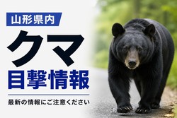 山形放送