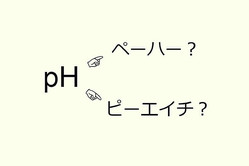 ��pH�פϡ֥ڡ��ϡ��ס� �֥ԡ��������ס�