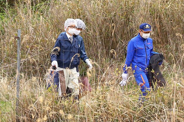 ����������ܸ��ο���