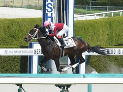 �����ŵ�˽���ͽ��Υ֥�åĥե���(c)netkeiba.com