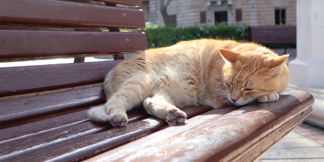 ޥ륿ˤϿ͸2ܤǭ餹ȤƤmimmi / PIXTA