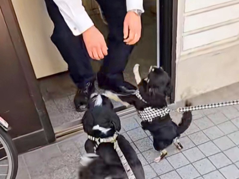 ���֤ظ��������ȸ�蘆��벺�䤫�ʤ����֤ۤΤܤΤ��ޤ��͡�