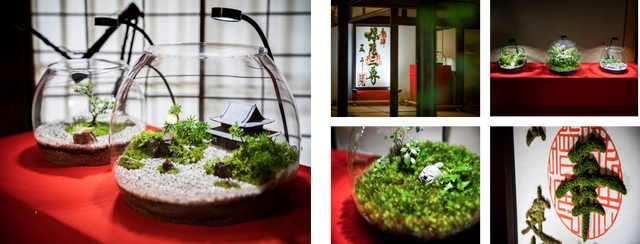 秋の京都、苔の名所8寺院で楽しむオリジナル苔アート「モシュ印」「コケ寺リウム」を展示
