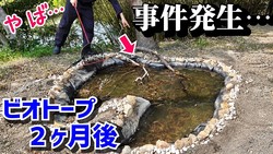 ����ӥ���ー�פ�2�������֤�����̡���������­�פ���Ƚ���������ȿͤ����Ρ�