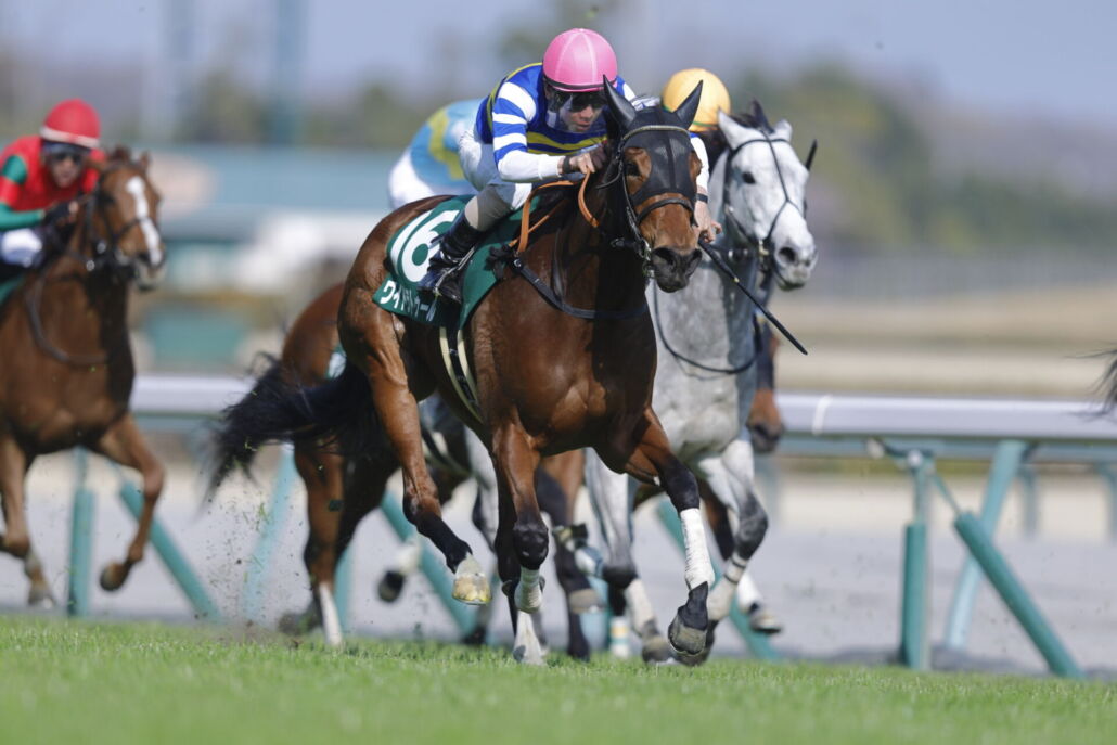 �����ա��磻�ɥ�ȥ��������¼ͧ�쵳��