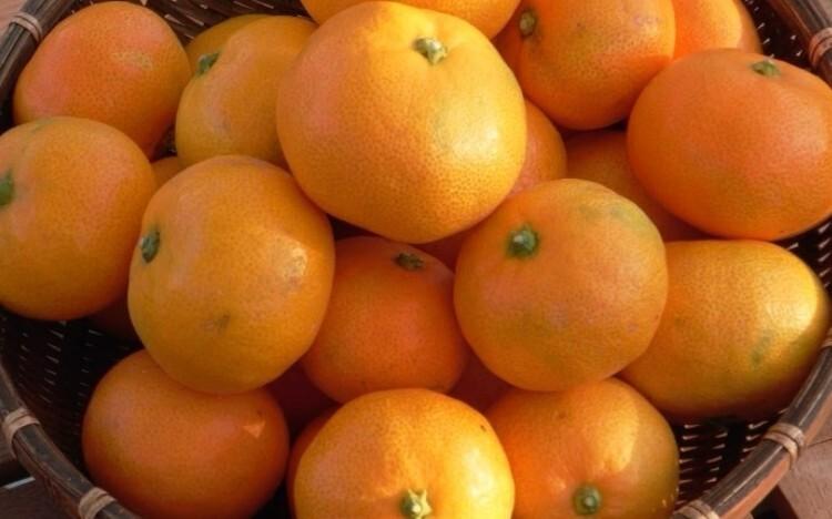 
             �������Ȱ仺��ǧ�ꡪ��ͭ�Ĥߤ���������Ԥ�����������̣�����ߤ������������ 
          