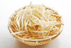 ��䥷�ˤϤɤΤ褦�ʱ����Ǥ��ޤޤ�Ƥ��롩