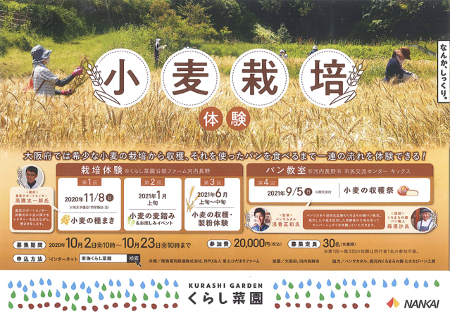 小麦の栽培からパンを食べるまでの流れを体験できる 小麦栽培体験 参加者募集 ライブドアニュース