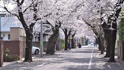 �ʢ��̿��ϥ��᡼���Ǥ���PIXTA��